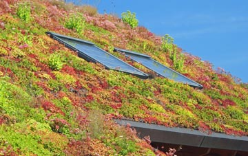 Wedmore living roof systems